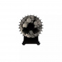 Печь банная Grill'D Cometa Vega 180 Short Window Max